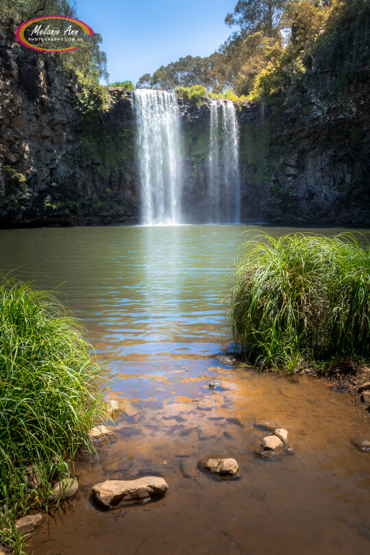 Dangar Falls, Dorrigo (Ref: NS050)