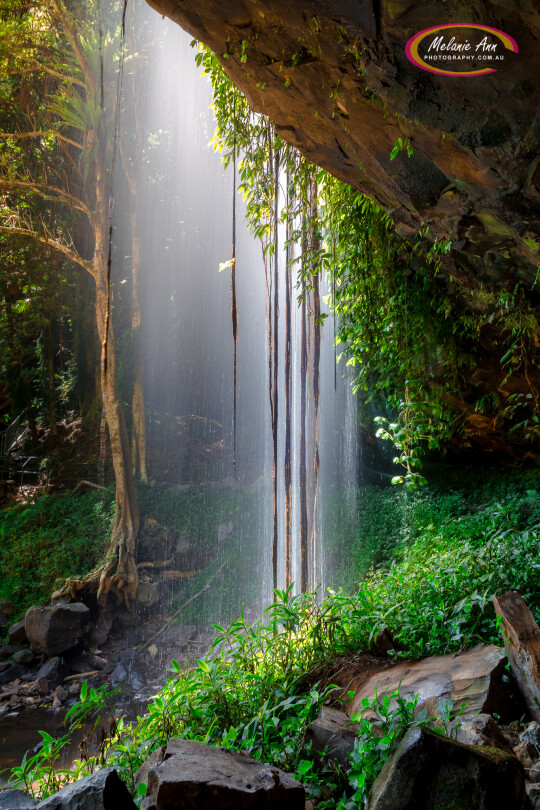 Crystal Shower Falls, Dorrigo Mountain (Ref: NS051)