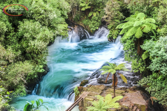 Okere Falls, New Zealand (Ref: AW022)