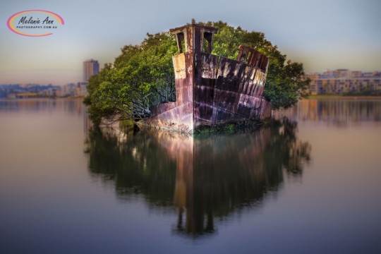 SS Ayrfield Shipwreck, Homebush Bay (Ref: NS005)