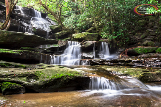 Somersby Falls, Gosford (Ref: NS001)