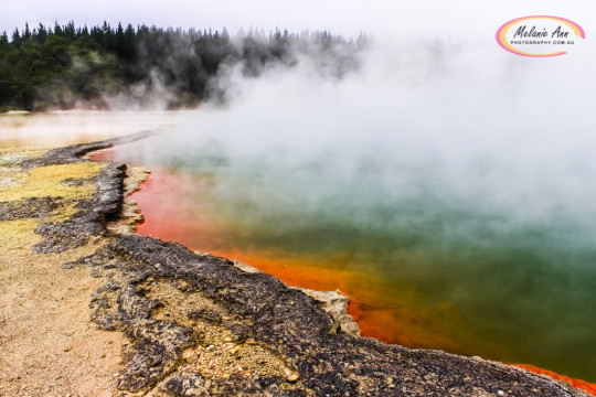 Waiotapu, New Zealand (Ref: AW002)