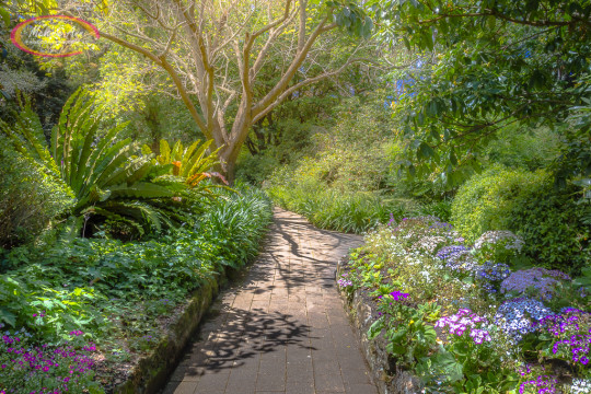 Camellia Gardens (Ref: SS057)