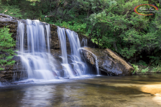  Wentworth Falls, Blue Mountains (Ref: NS013)