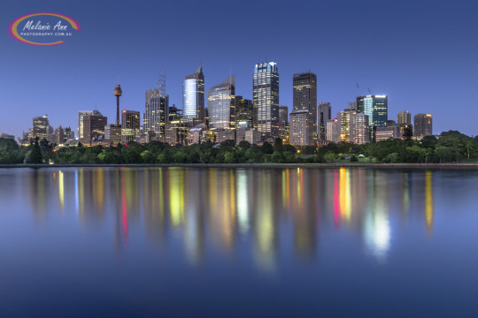 Sydney City (Ref: NS010)