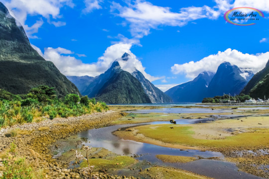 Milford Sound, New Zealand (Ref: AW025)