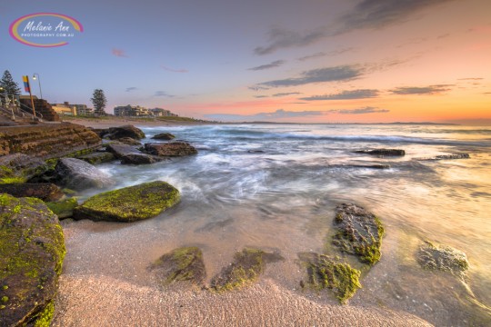 Cronulla Beach (Ref: SS030)