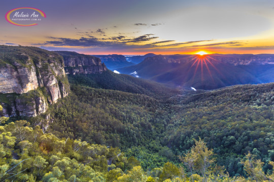 Govetts Leap, Blue Mountains (Ref: NS015)