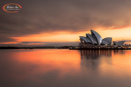 Sydney Harbour Bridge (Ref: NS027)