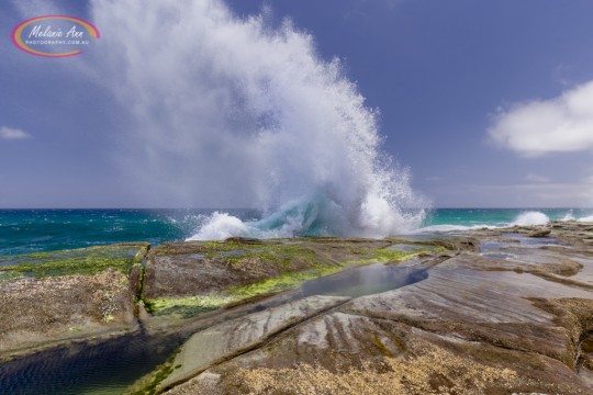 Figure 8 Pools, Royal National Park (Ref: SS014)