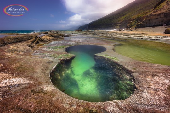 Figure 8 Pools, Royal National Park (Ref: SS033)