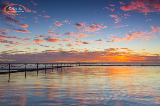 Shelly Beach, Cronulla (SS016)