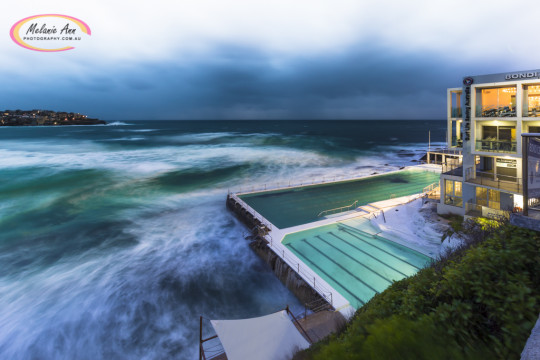 Bondi Icebergs (Ref: NS007)