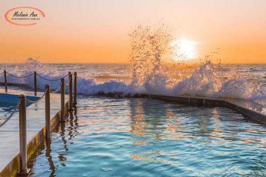 South Curl Curl Ocean Pool (Ref: NS019)