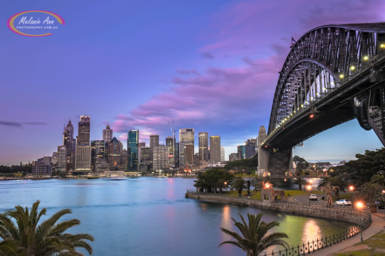 Sydney Harbour Bridge (Ref: NS017)