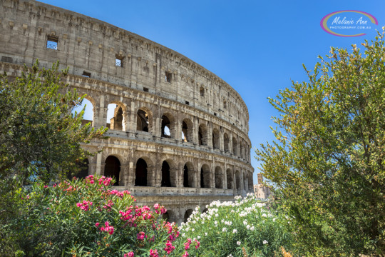 Colosseum - Rome, Italy (Ref: AW008)