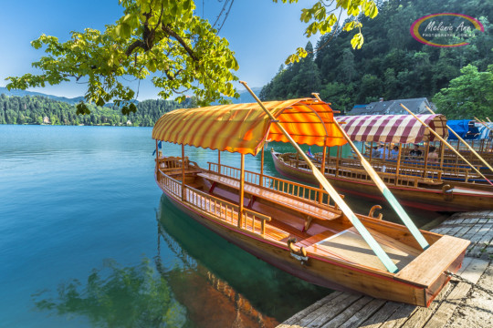 Lake Bled, Slovenia (Ref: AW006)