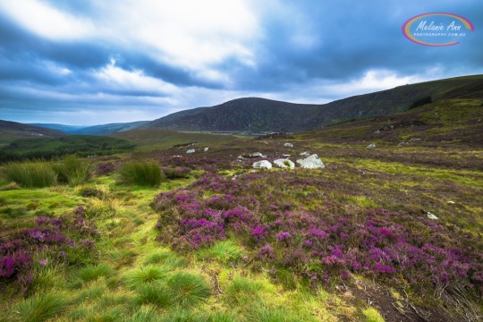 Wicklow, Ireland (Ref: AW005)