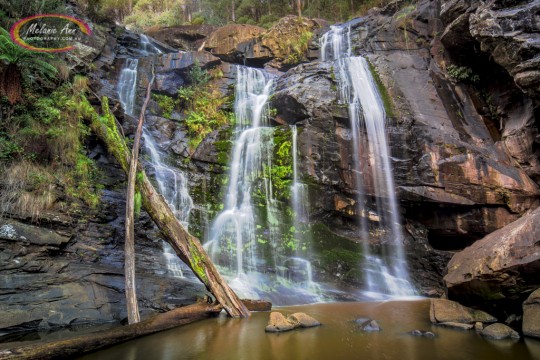 Stevenson Falls - The Otways, Victoria (AA023)