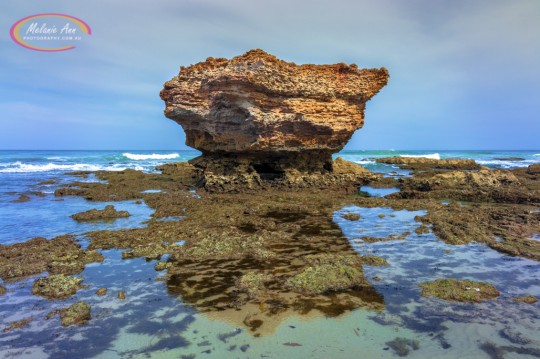 Eagle Rock Marine Sanctuary, Victoria (AA011)