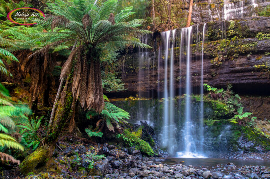 Russell Falls, Tasmania (AA033)
