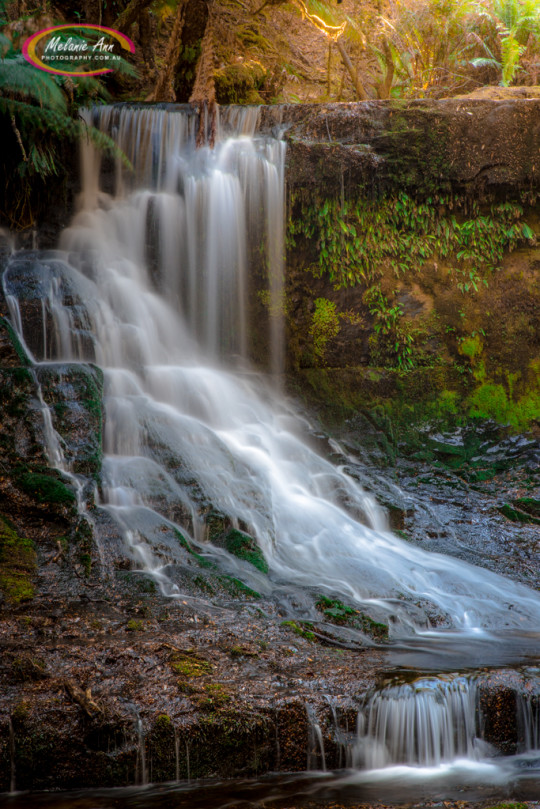 Horseshoe Falls, Tasmania (AA009)