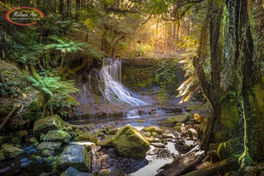 Horseshoe Falls, Tasmania (AA003)