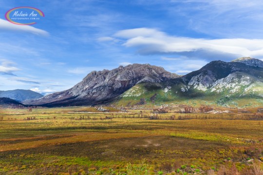 Mount Field National Park, Tasmania (AA014)