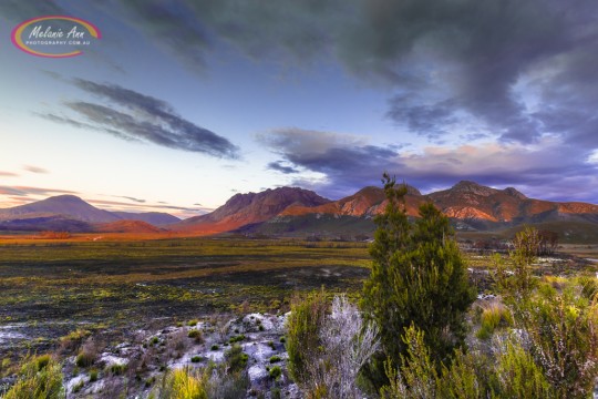 Mount Field National Park, Tasmania (AA002)