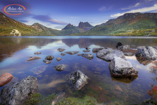 Cradle Mountain, Tasmania (AA019)