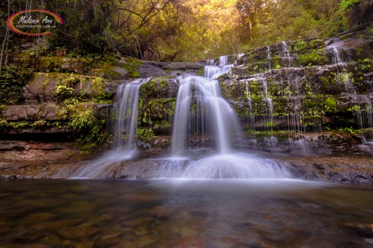Liffey Falls, Tasmania (AA018)