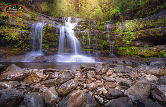 Liffey Falls, Tasmania (AA031)