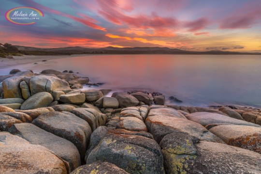 Binalong Bay - Bay of Fires, Tasmania (AA021)