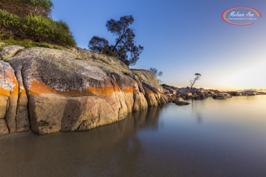 Binalong Bay, Tasmania (AA010)