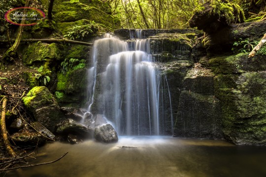 Strickland Avenue Falls, Tasmania (AA012)