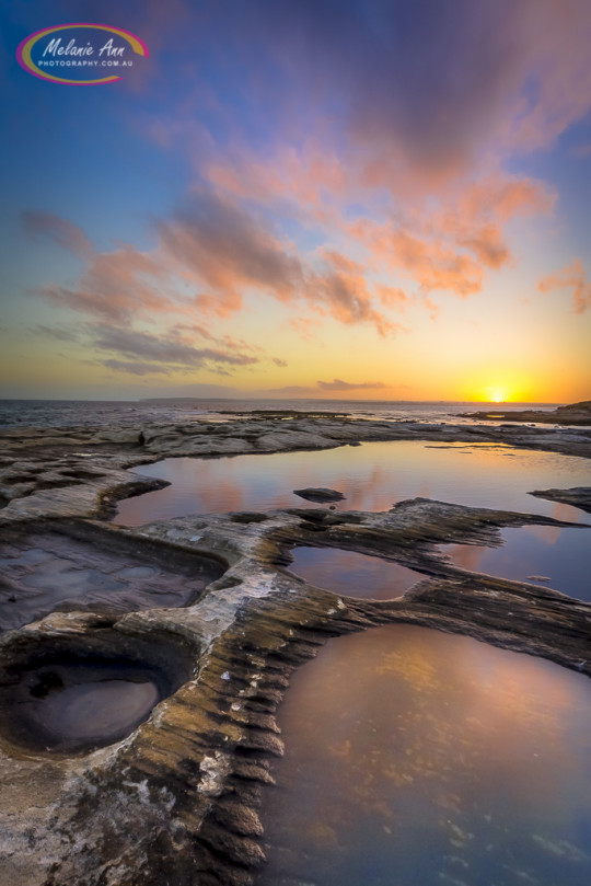 Potter's Point, Kurnell (Ref: SS054)