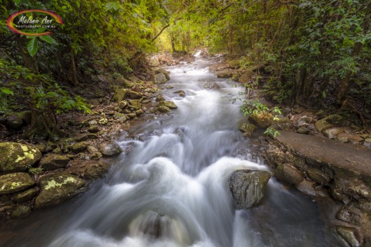 The Natural Bridge, Queensland (AA027)