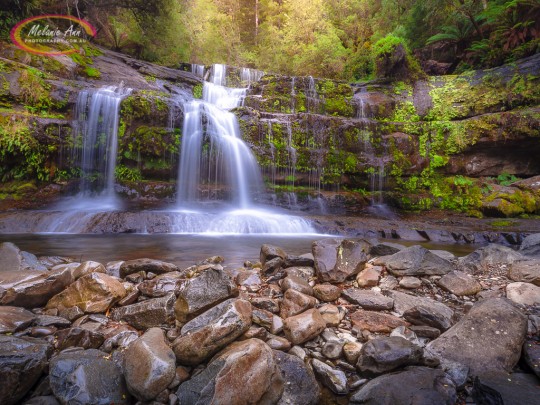 Liffey Falls, Tasmania 