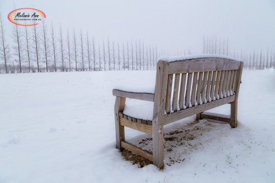 Geysir, Iceland (IC029)