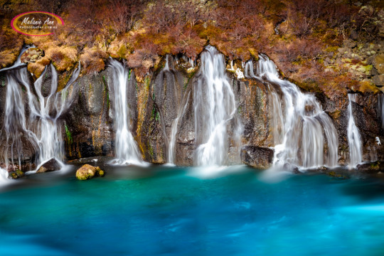 Hraunfossar, Iceland (IC027)